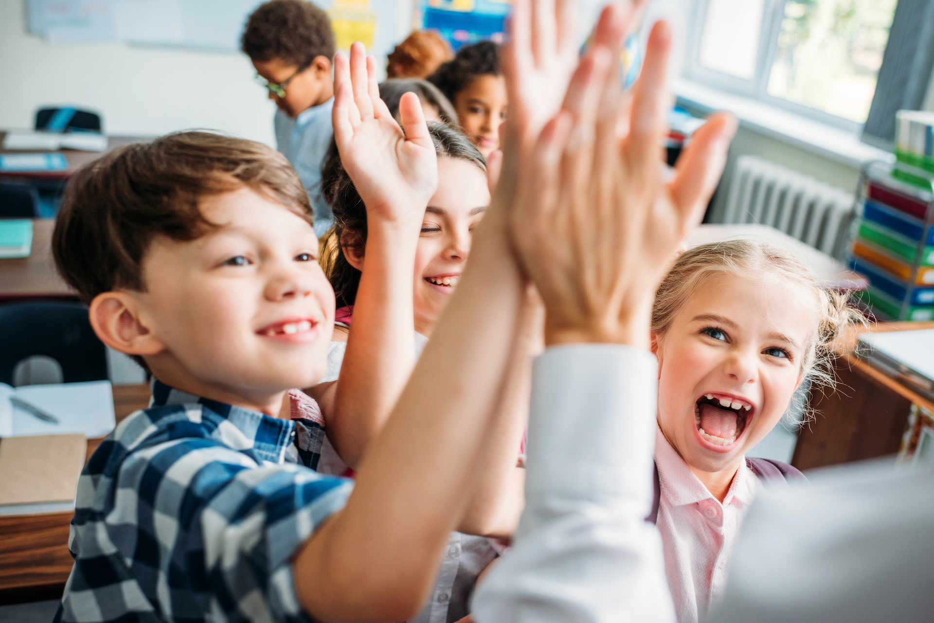 Paradiestal grundschule stadelhofen herzlich willkommen